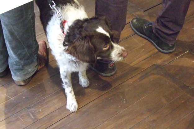 peter pontiac,tent.opening 013